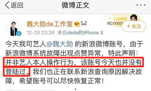 微信公众号娱乐明星吃瓜,明星们的“吃瓜”日常