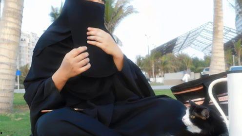 娱乐吃瓜君的微博,娱乐圈最新热点事件大盘点